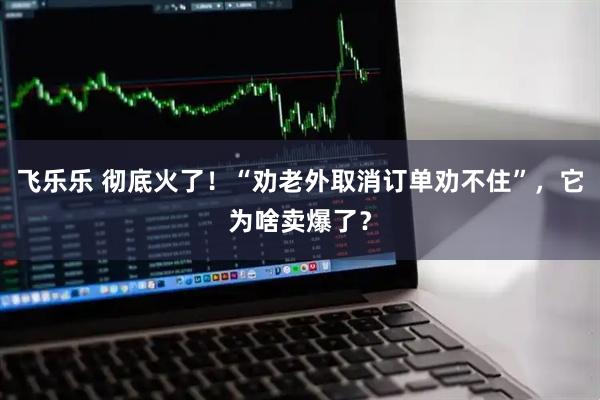 飞乐乐 彻底火了！“劝老外取消订单劝不住”，它为啥卖爆了？
