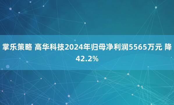 掌乐策略 高华科技2024年归母净利润5565万元 降42.2%