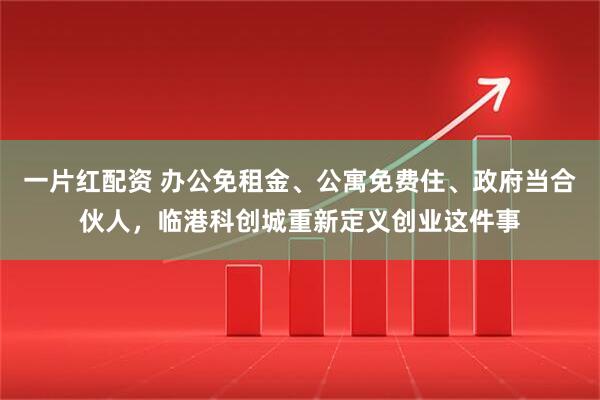 一片红配资 办公免租金、公寓免费住、政府当合伙人，临港科创城重新定义创业这件事