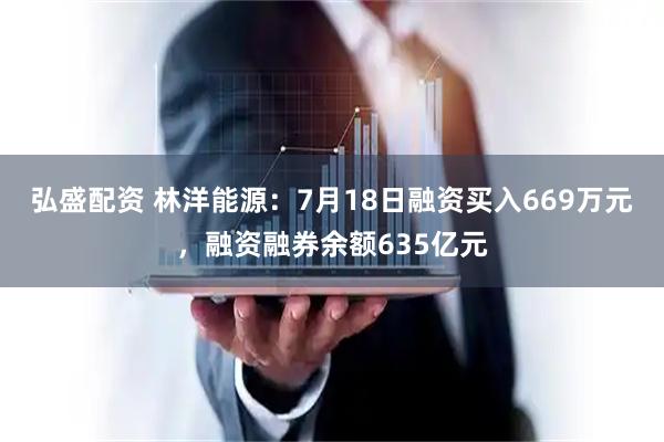 弘盛配资 林洋能源：7月18日融资买入669万元，融资融券余额635亿元